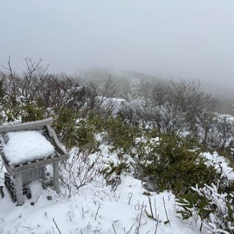 本当ならどんな景色が見れたのかな？また来ることあるかな？
