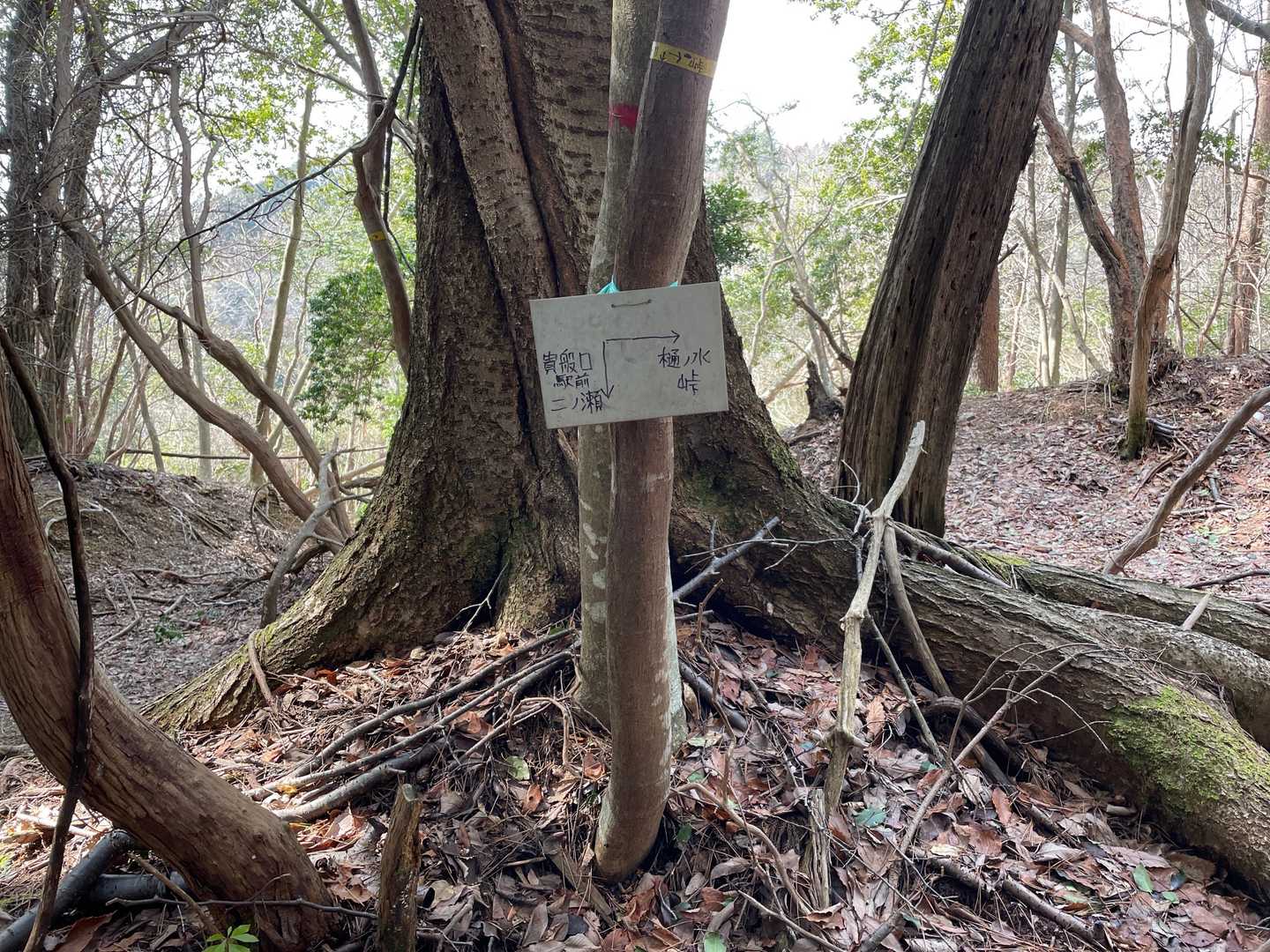 ありがとう手書き看板🪧🙏