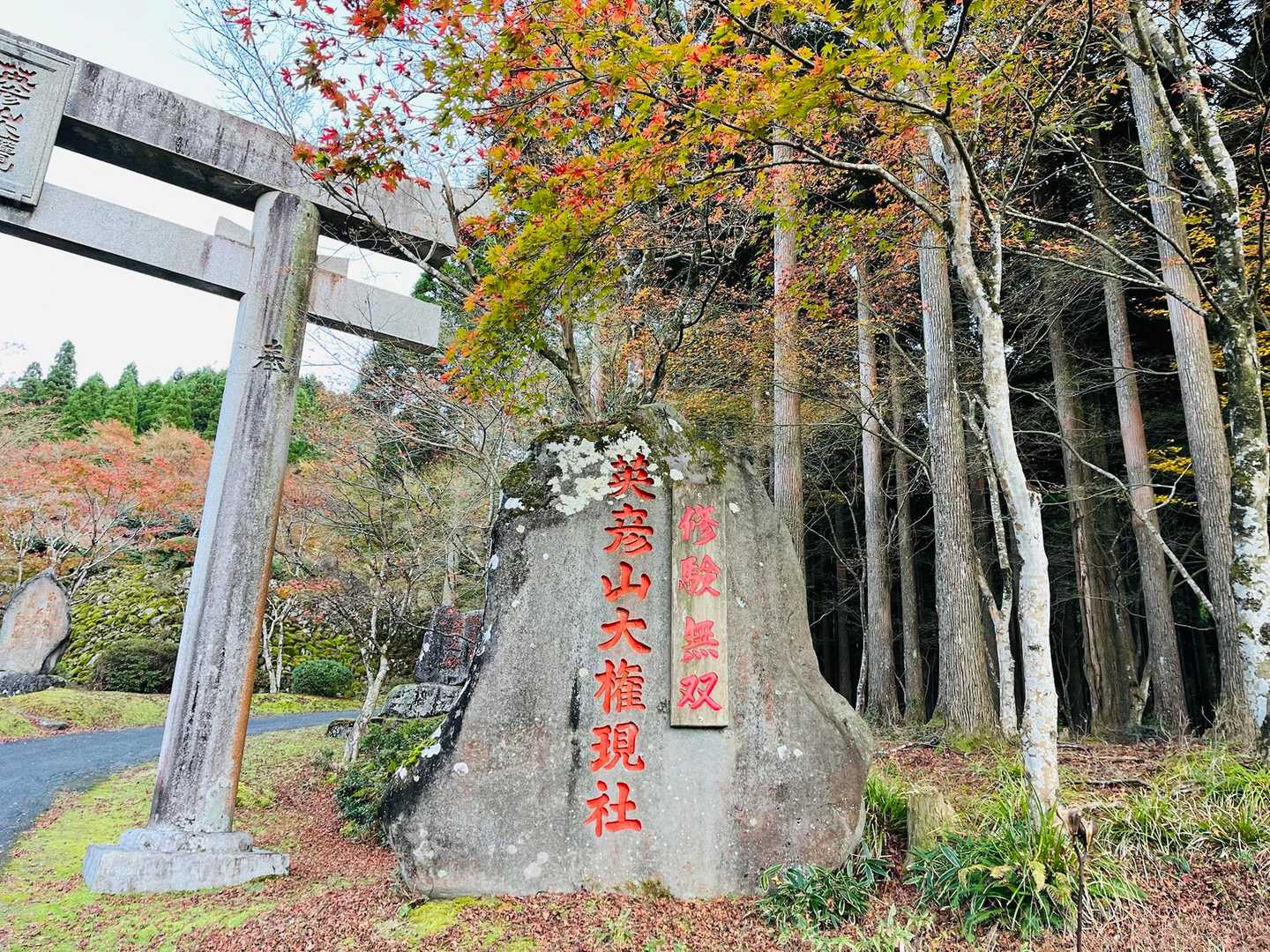 今日も楽しかったー♪
やっぱり英彦山はいいお山ですね😊
Mさん、いつも付き合ってくれてありがとう〜
これで山納めせずにまた登ろうね〜笑