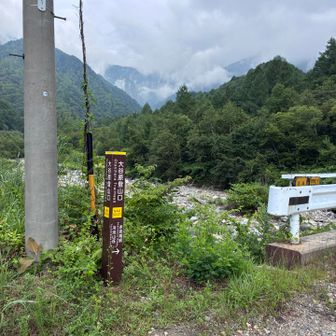 林道入ってすぐ、草むらになんか動物いました😨
上の方に親子で逃げて行きました😱
タヌキより大きく感じたから熊🐻かなぁ😅