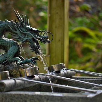 🐉