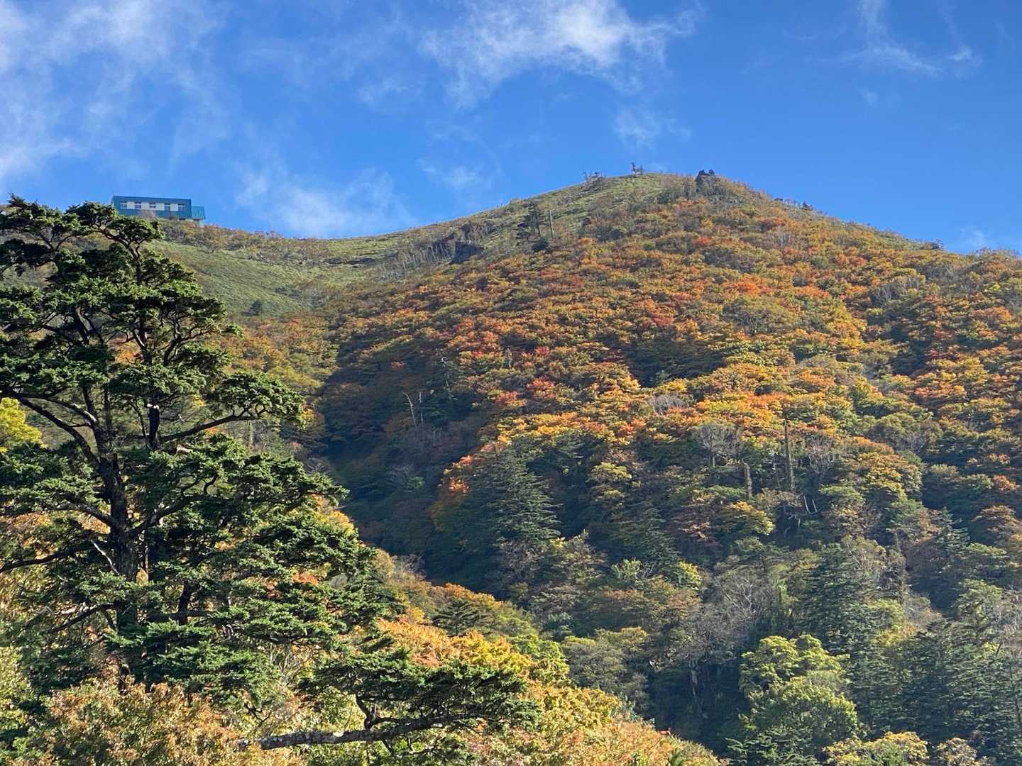 山頂ヒュッテと紅葉🍁
また来るね👋
