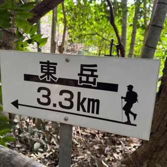 東岳まで、
3.3km。