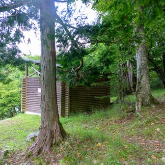 この建物なんだろ？と覗いたらベンチだった
秘密基地みたいで良い！
