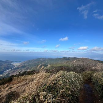 頑張って登るとご褒美の景色