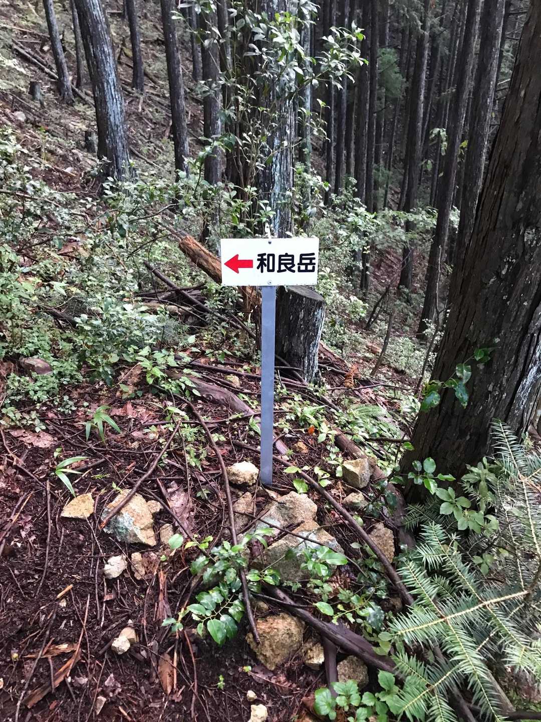 要所要所には和良岳の山頂までの案内が有りました🙏