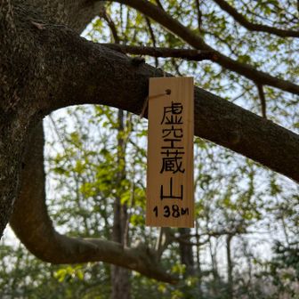 ノーマークだったけどなかなか良い山！