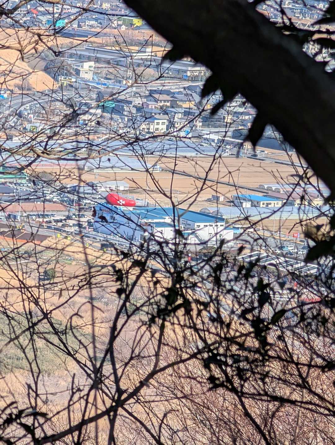 日守山公園入口-大嵐山-大平山-多比口峠-多比峠-鷲頭山- 縦走コースの写真
