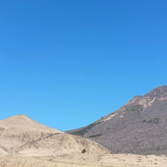 ありがとうございました🩵