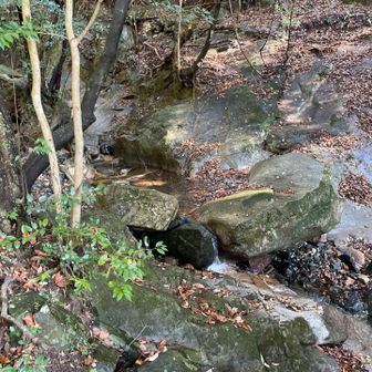 上野越コースを下山し、撤去されたつり橋のところを渡渉し白糸の滝駐車場へ。岩登りのためにロープを据えてくれています。