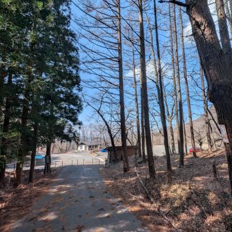 戻ってきましたよ。