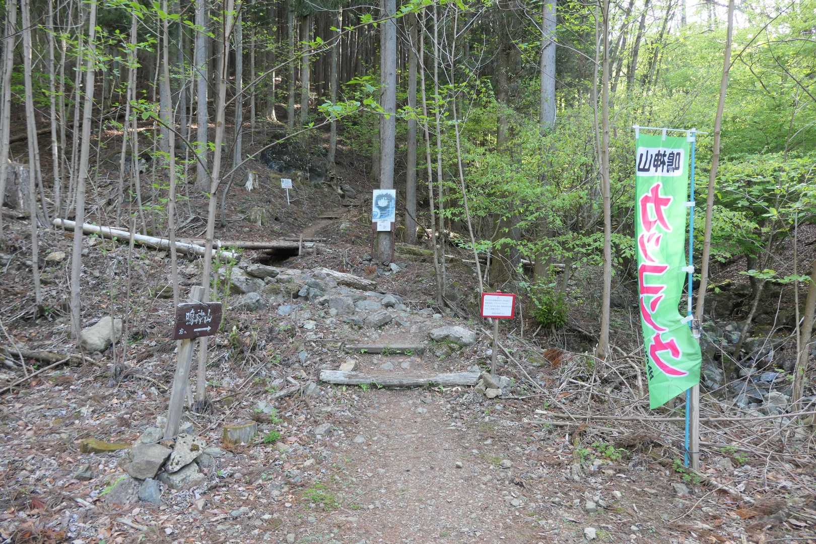 登山道に入りました。
