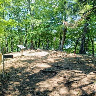 高畑山の山頂に到着