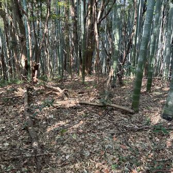 茶臼山 山頂付近