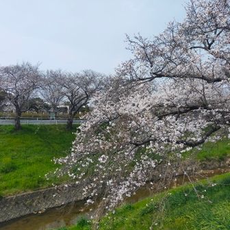 たかゆき