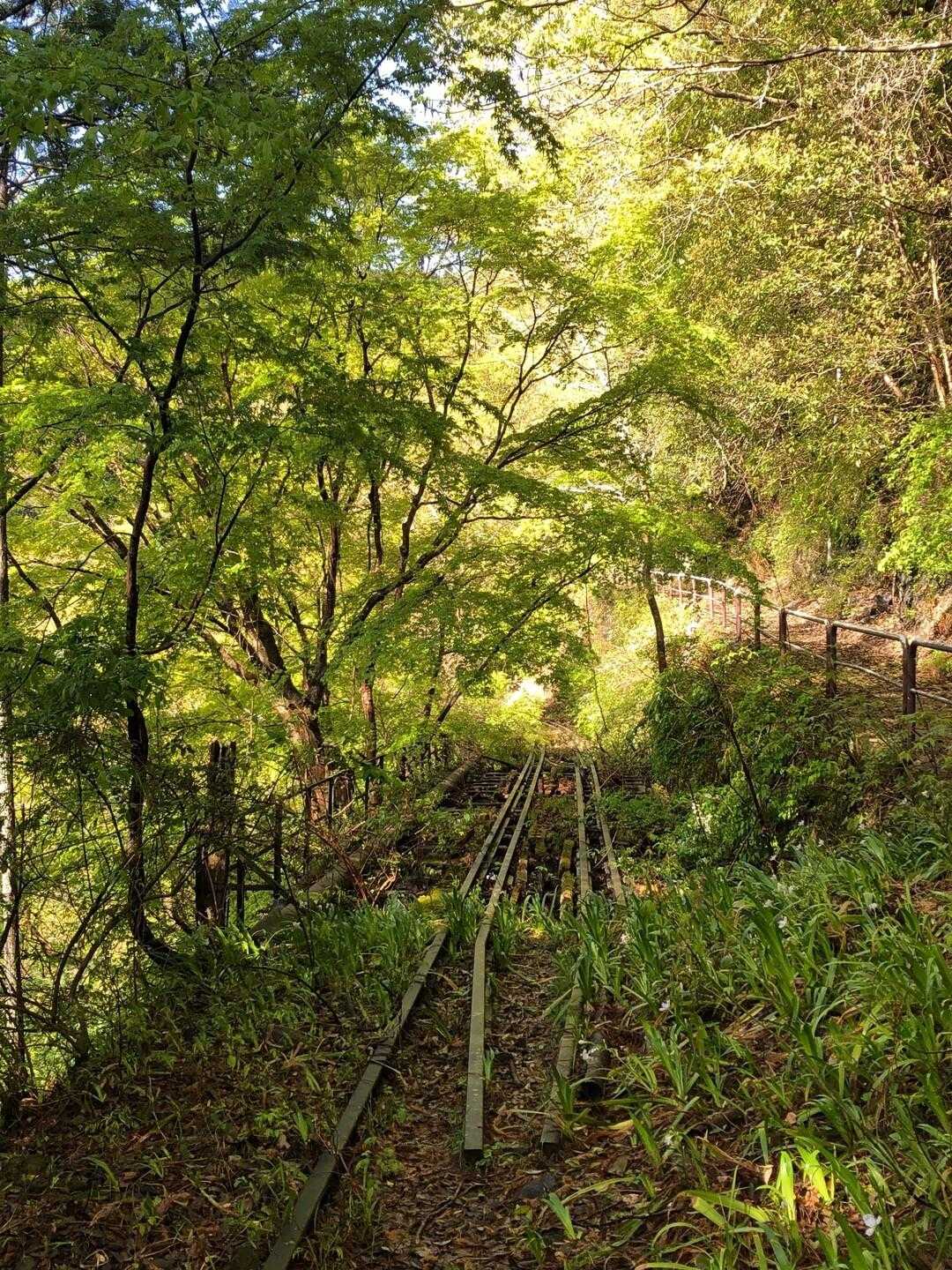 神社・石仏・廃線跡と自然の調和  ノスタルジックな奥多摩むかし道の写真