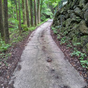 14丁目まで続くアス道　この靴は登りは硬くないソールで歩きやすく、下りはクッションが効いて膝にくる衝撃も和らぎます