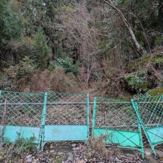 ここから、出て来た✨