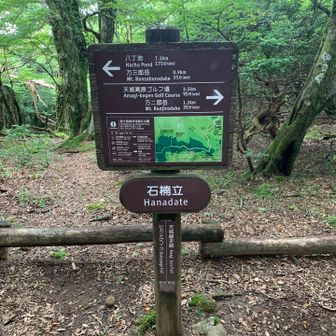 ハナダテって読むんですね🧐