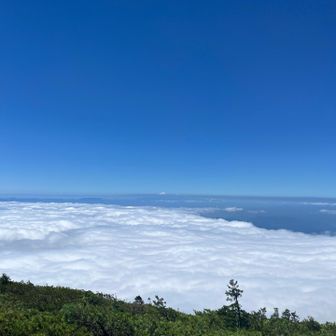 雲海