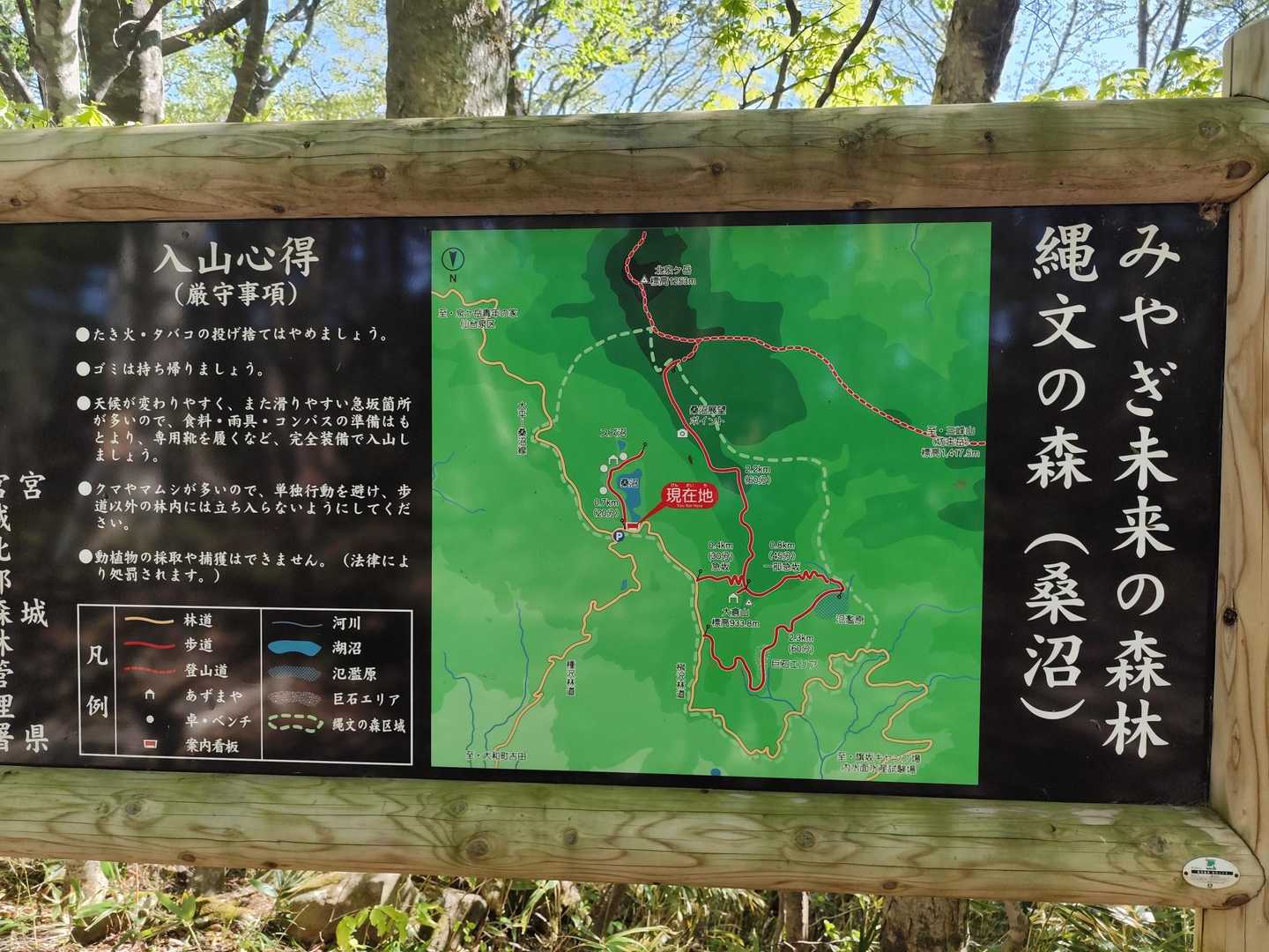 大倉山 周回コースの写真