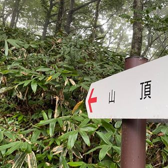 山頂はすぐそこ