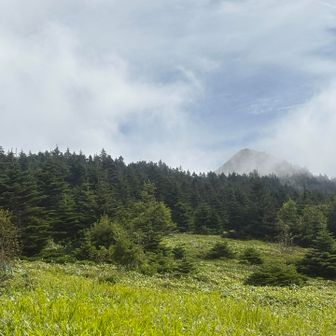 あれが山頂か⁉️