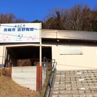 日向和田駅に着いて、無事登山終了。たくさん歩きましたが、心地よい登山でした。