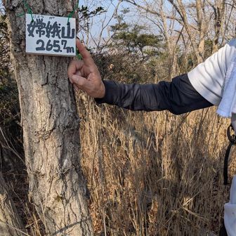 じょうがさんと読みます