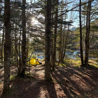 木洩れ日のさすイイテント場⛺️です。
約25張のこじんまりしてて
駐車場が目の前なので近くて便利でした。