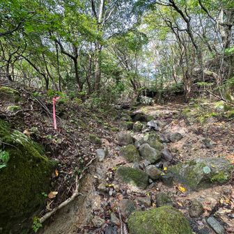 先ほどを下り降りて、左方面の涸沢雰囲気の岩場を歩き上る