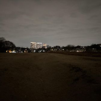 くじら山下山後の景色
この広場、球技とかできるような広さはあるが地面に凹凸があって無理そう。
なんのための広場なんだろか？　以上(^▽^)/