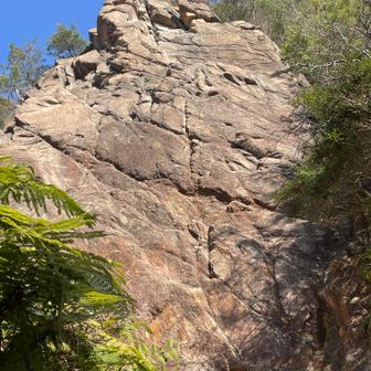 キャッスルウォール