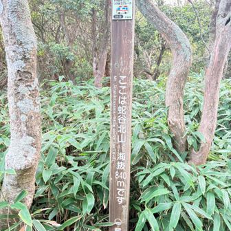 ここも　展望はないです。蛇谷北山