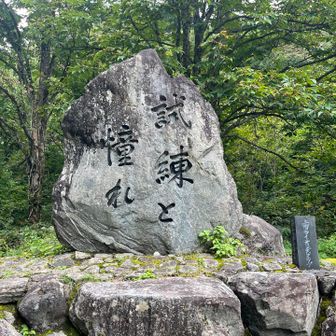 明るい時に見たのは初めて