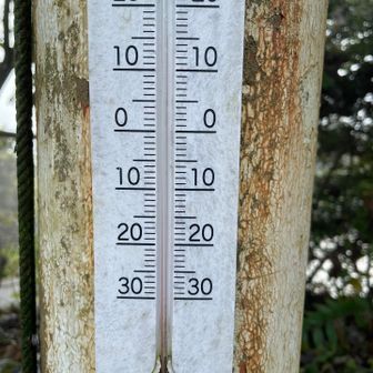 気温は15度