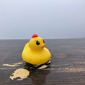 風はそこまで強くなかったためこのまま進む事にします。
(一瞬強いタイミングがあって不安になりました)