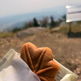 もみじ饅頭🍁こしあん😋