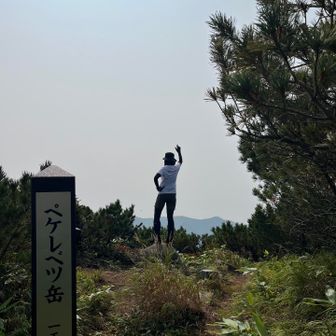 もっとひらけた山頂かと思っていたけど
見渡すと…