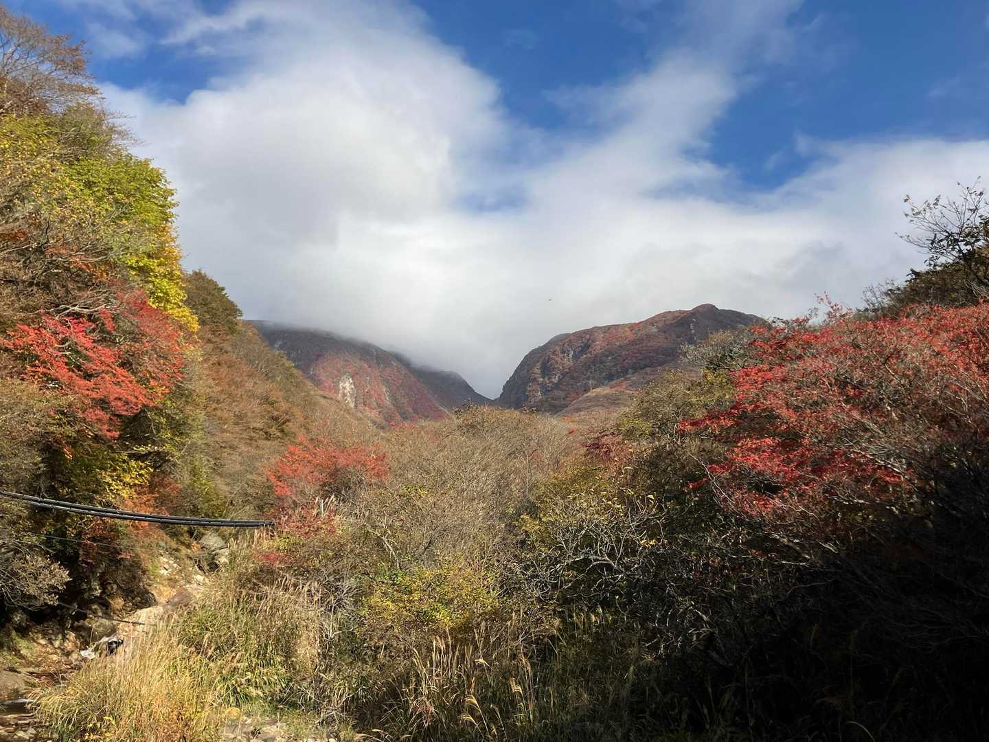 赤川登山口から▶️