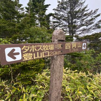 中四阿山到着