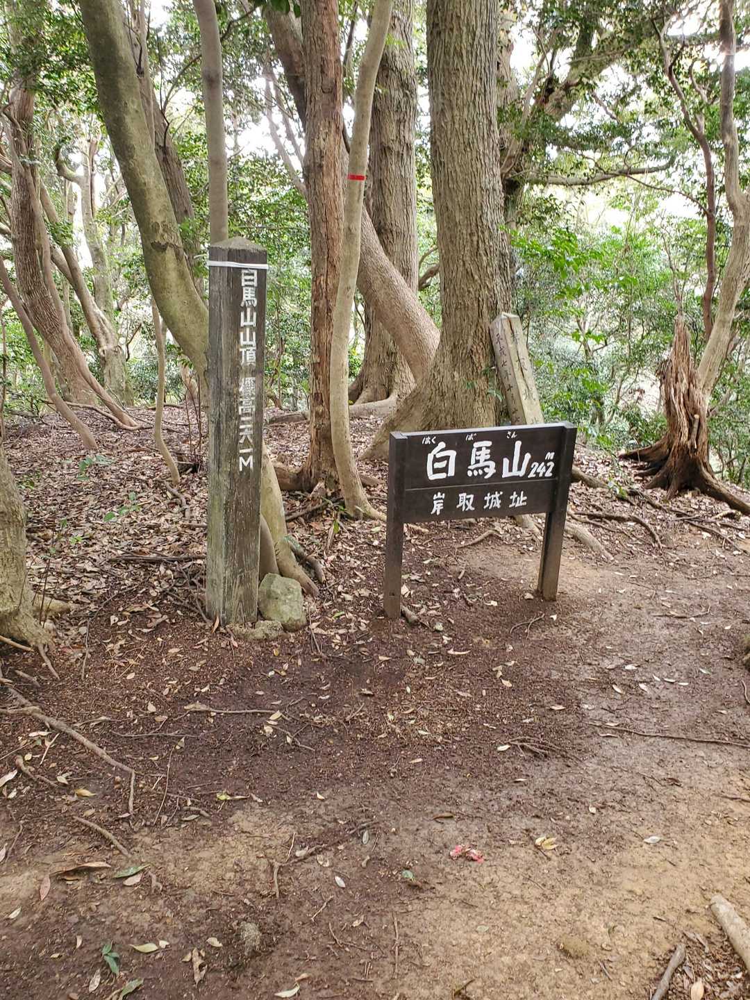 最初の1座！白馬山到着～
