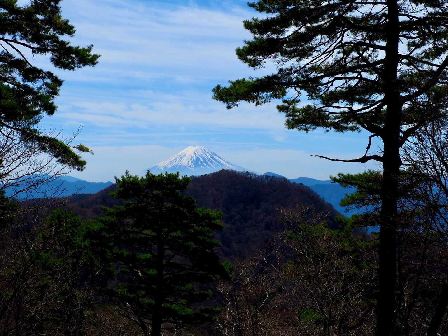 富士山もちゃんと見えてます