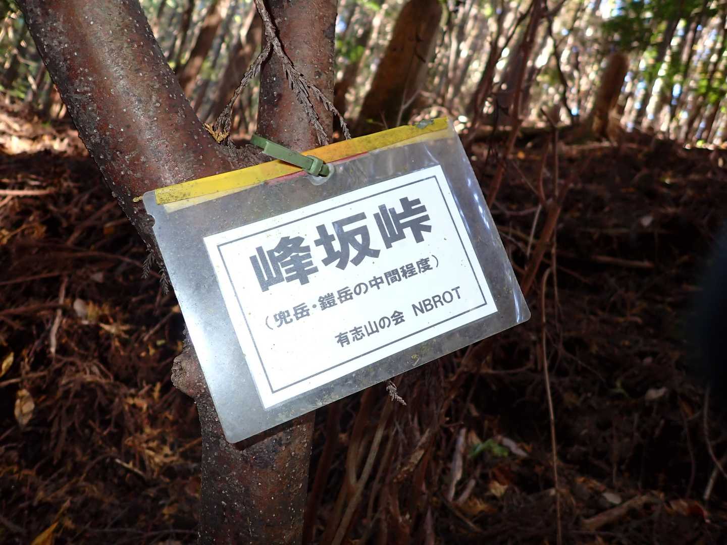 峰坂峠らしいです