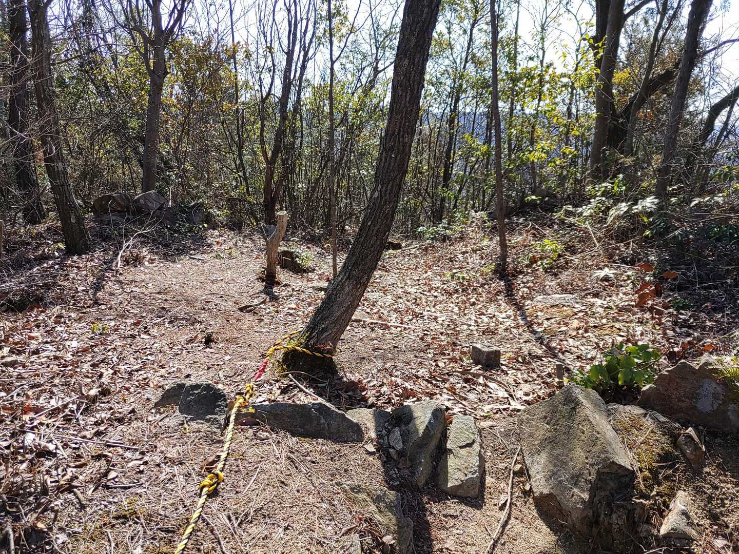 ［戦争遺跡②］
こちらは広めの窪地