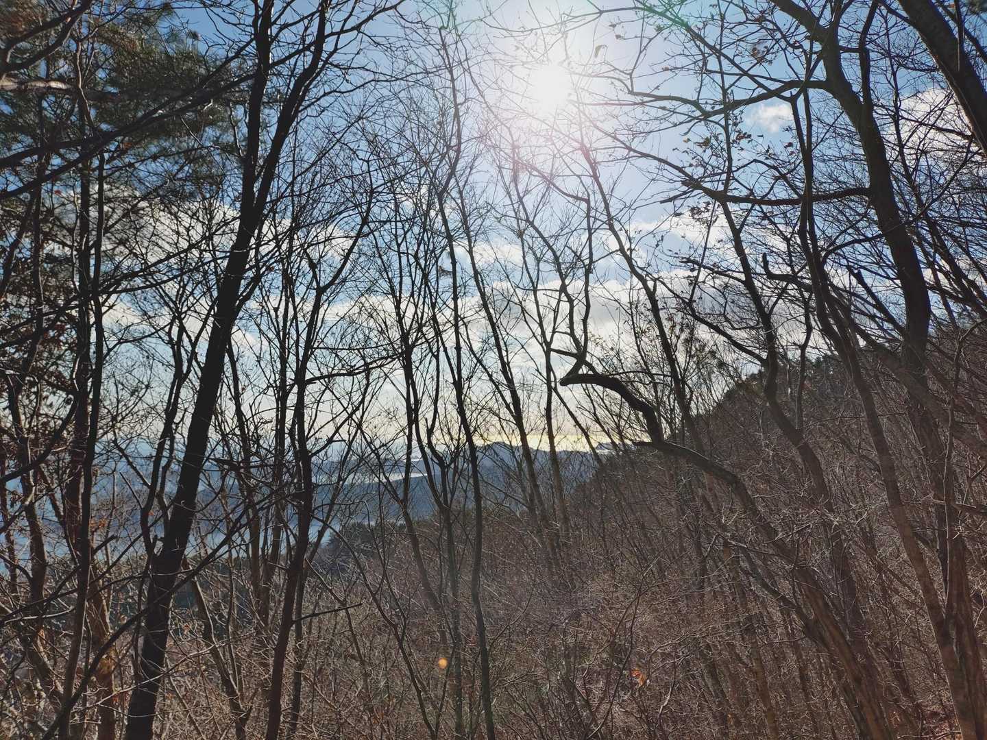 天気良いです
このあと写真撮ってませんが
鎖場ありました🥹