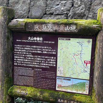 明るくなって案内ℹ️が読める