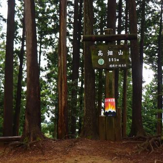 高畑山に登頂。