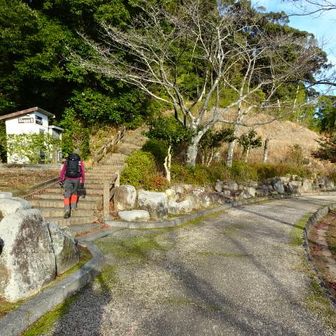 弓道場の北を通りＵターンしながら階段を登って行くと、史跡朝田墳墓群がある。