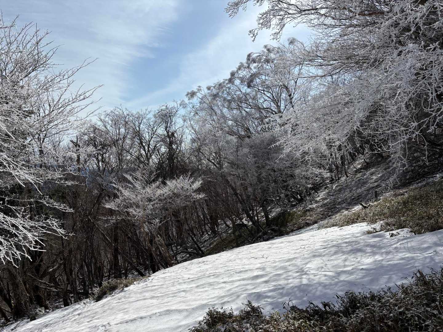 帰りにはすべて消えてました
